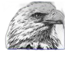 Newton Community High School logo